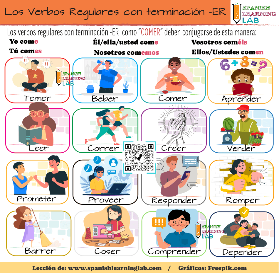 Una lista de verbos regulares en español con terminación -ER y las reglas de conjugación en el presente indicativo.