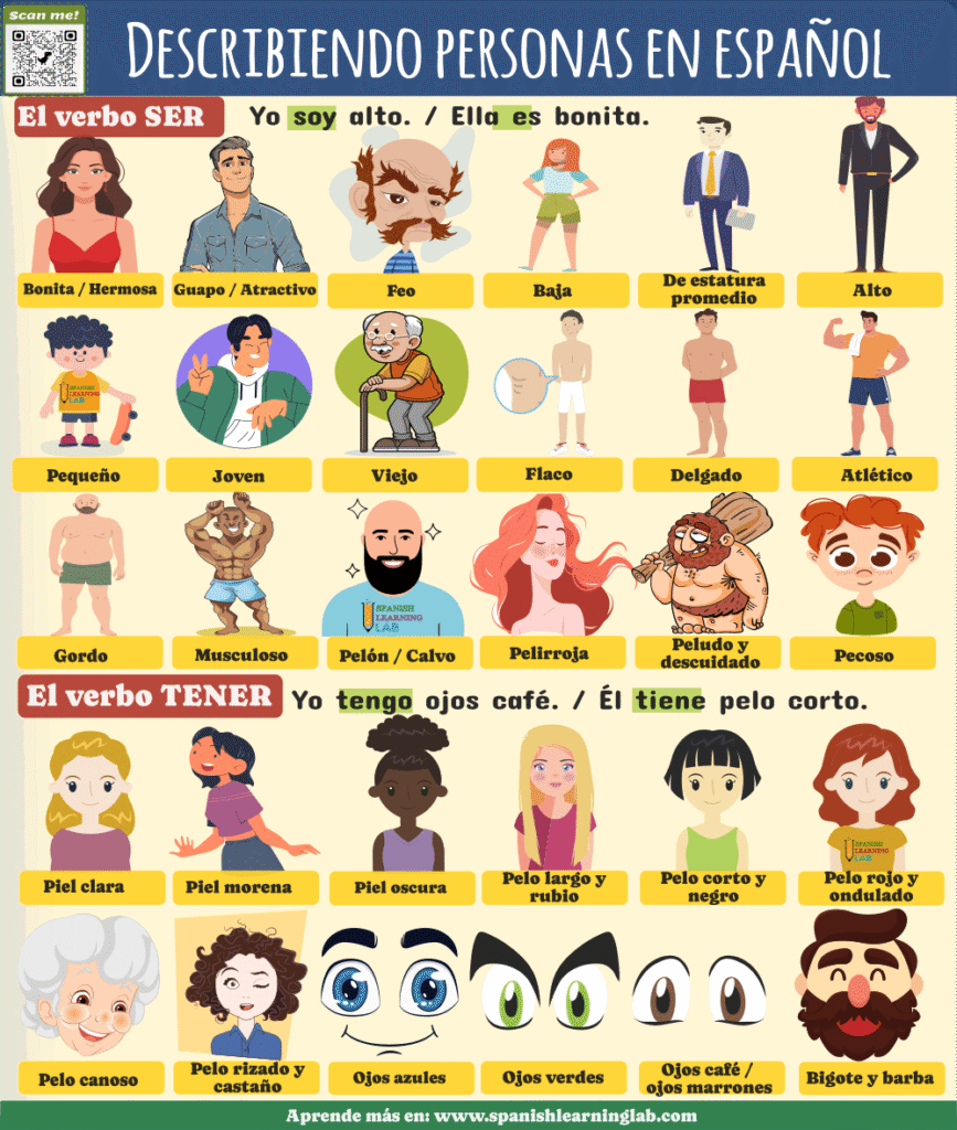 el vocabulario de verbos y adjetivos para describir personas en español ejemplos ejercicios interactivos