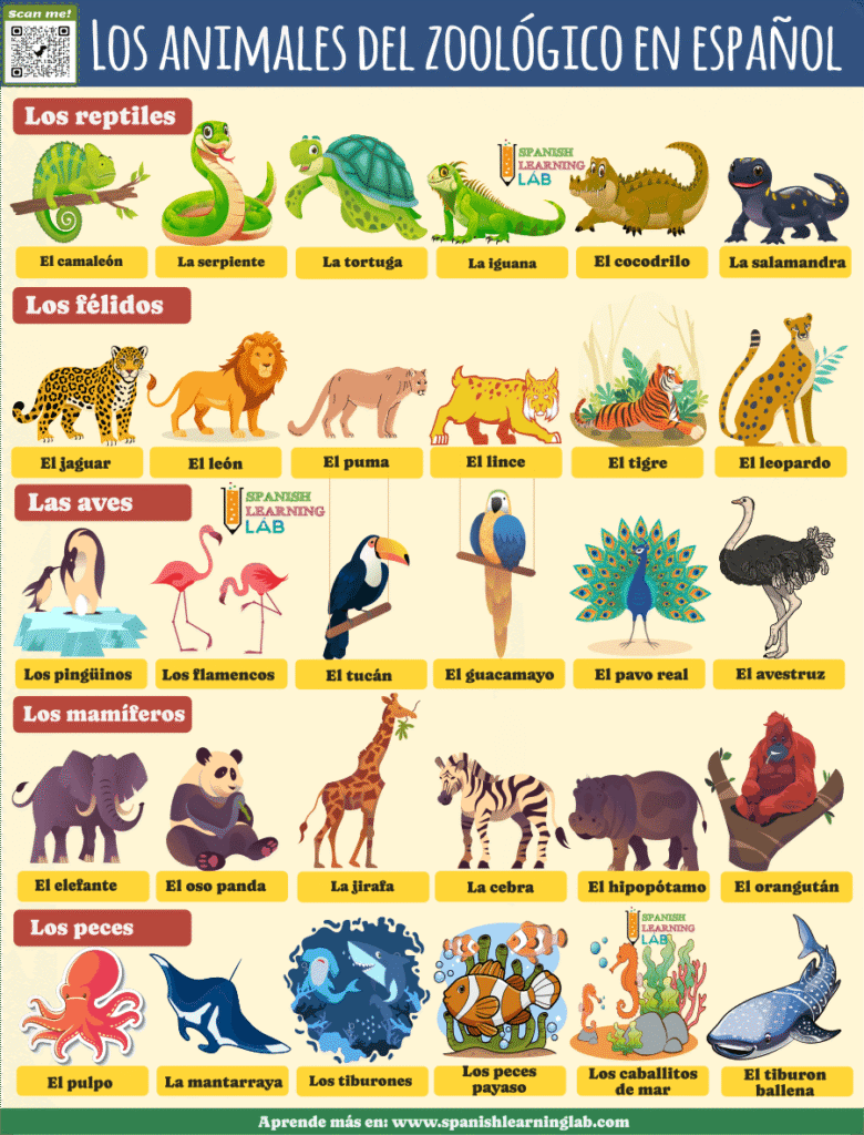 el vocabulario de animales del zoológico en español ejemplos oraciones y ejercicios
