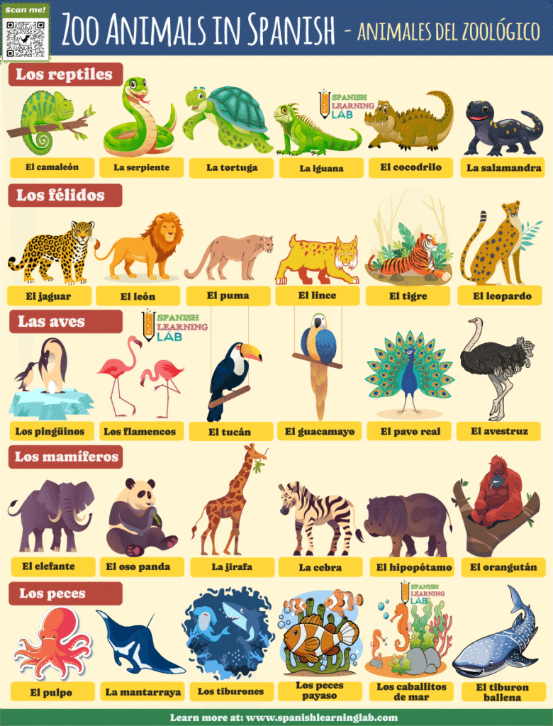 the most important words and vocabulary for zoo animals in Spanish