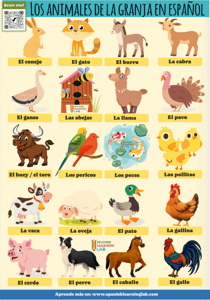 Los animales de la granja en español vocabulario ejemplos ejercicios
