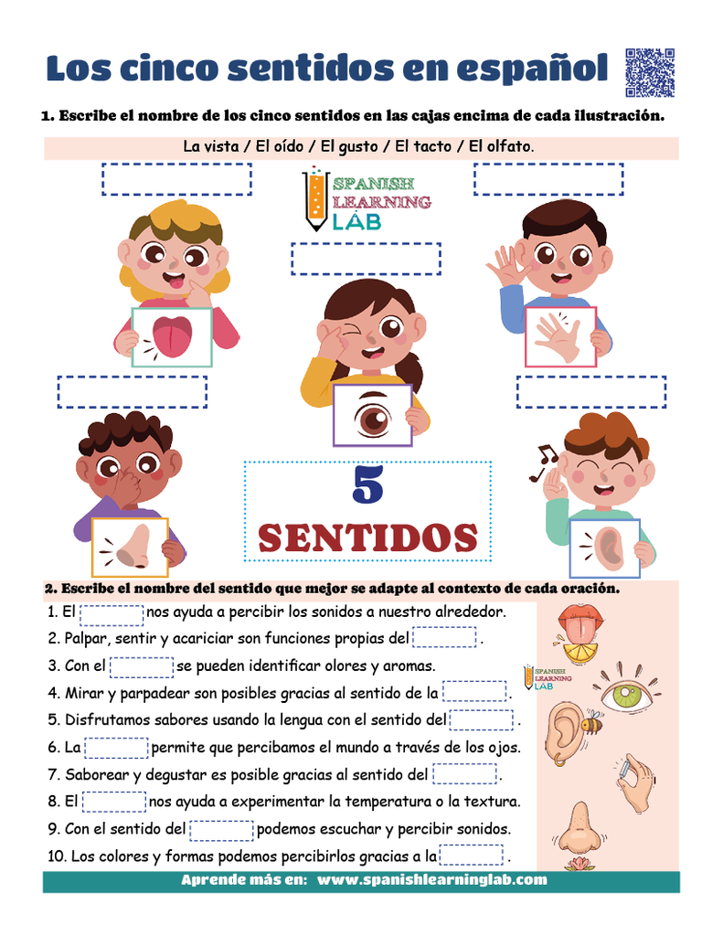 los cinco sentidos ejercicios pdf en español con oraciones cortas