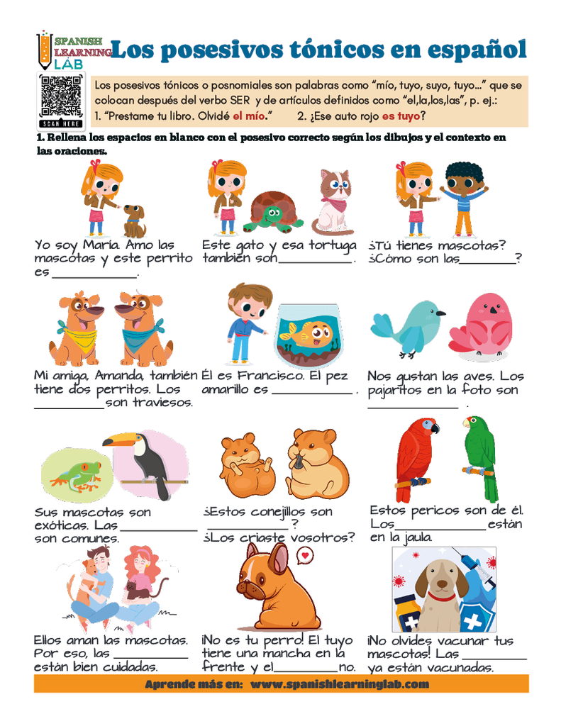 Los posesivos en español tónicos o posnomiales hoja de trabajo con ejercicios en PDF
