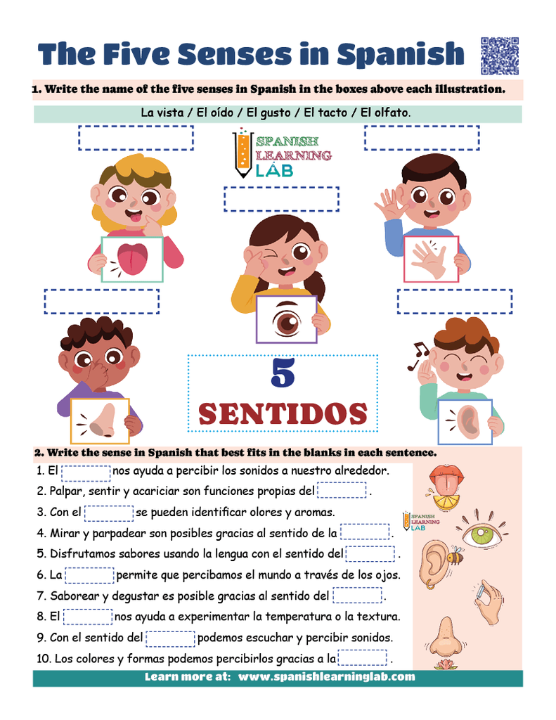 the five senses in Spanish worksheet PDF with exercises