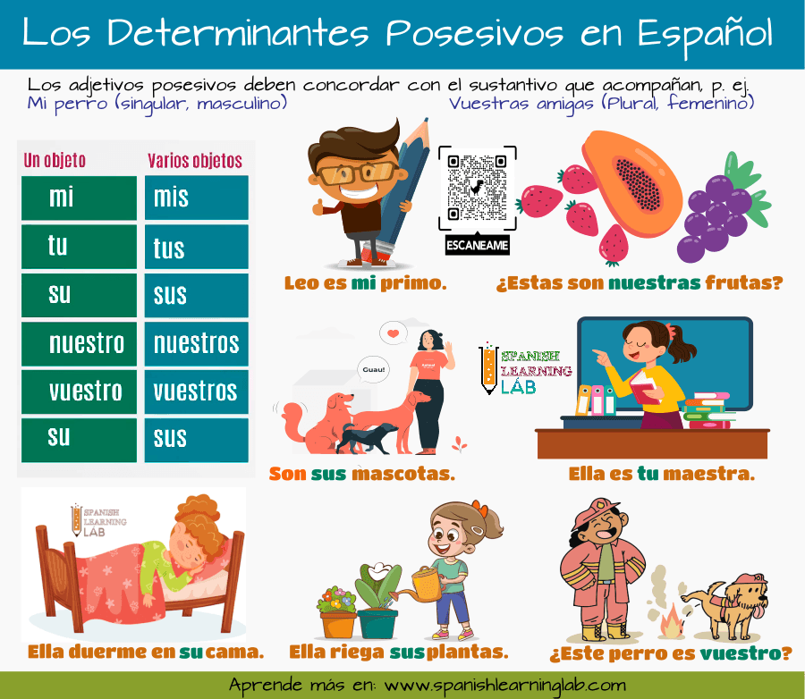 Formando oraciones con determinantes posesivos en español mi, tu, su, sus, vuestros posesivos átonos