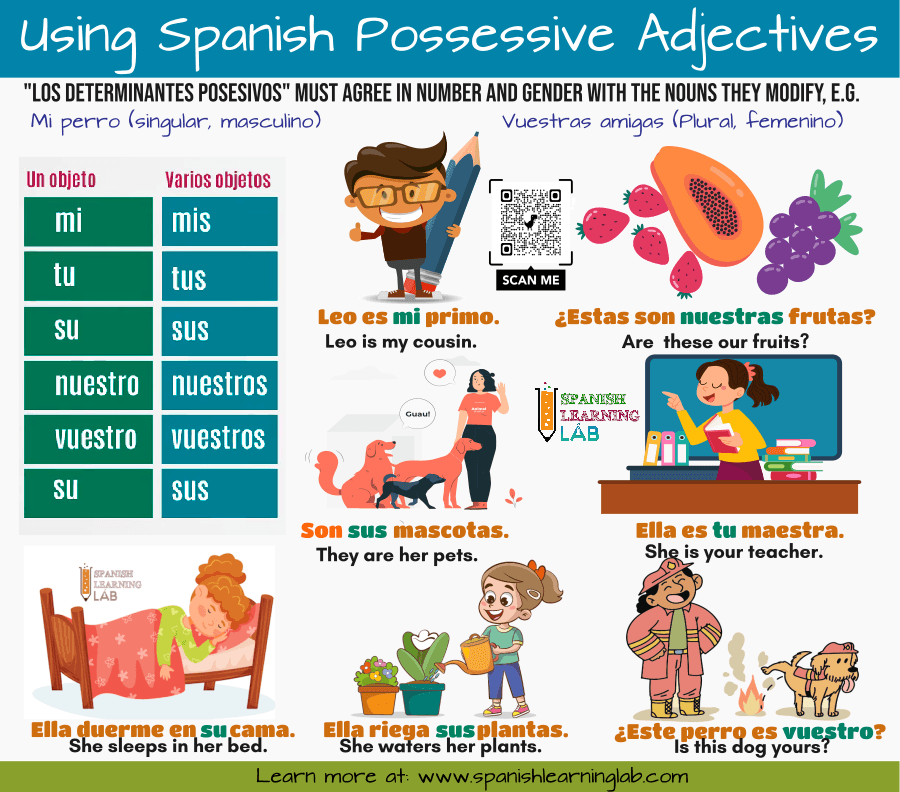 Possessive adjectives in Spanish chart and examples of sentences with illustrations